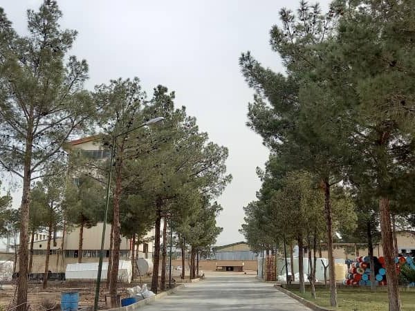 Amin Shimi Sepahan (17)